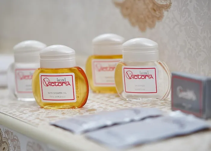 Отель виктория на замковой Минск